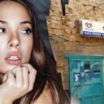 Sólo un genio encontraría un perro en la calle en