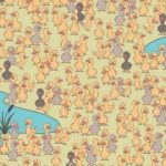 Un puzzle divertido e ingenioso: tienes que encontrar una gallina